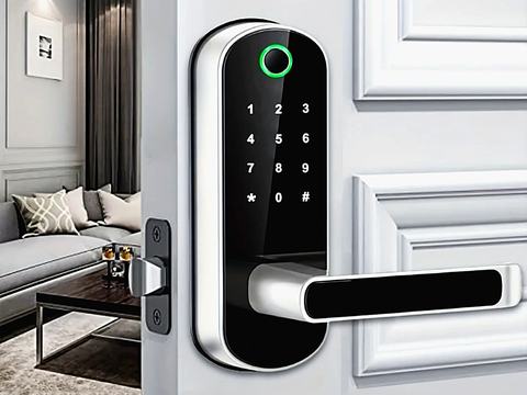 Fingerprint & Keypad Smart Lock